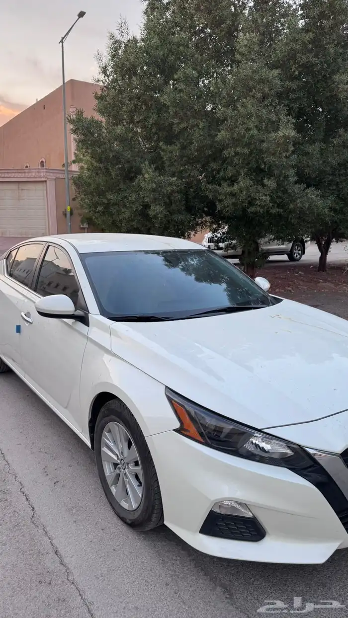 الرياض لبن 1