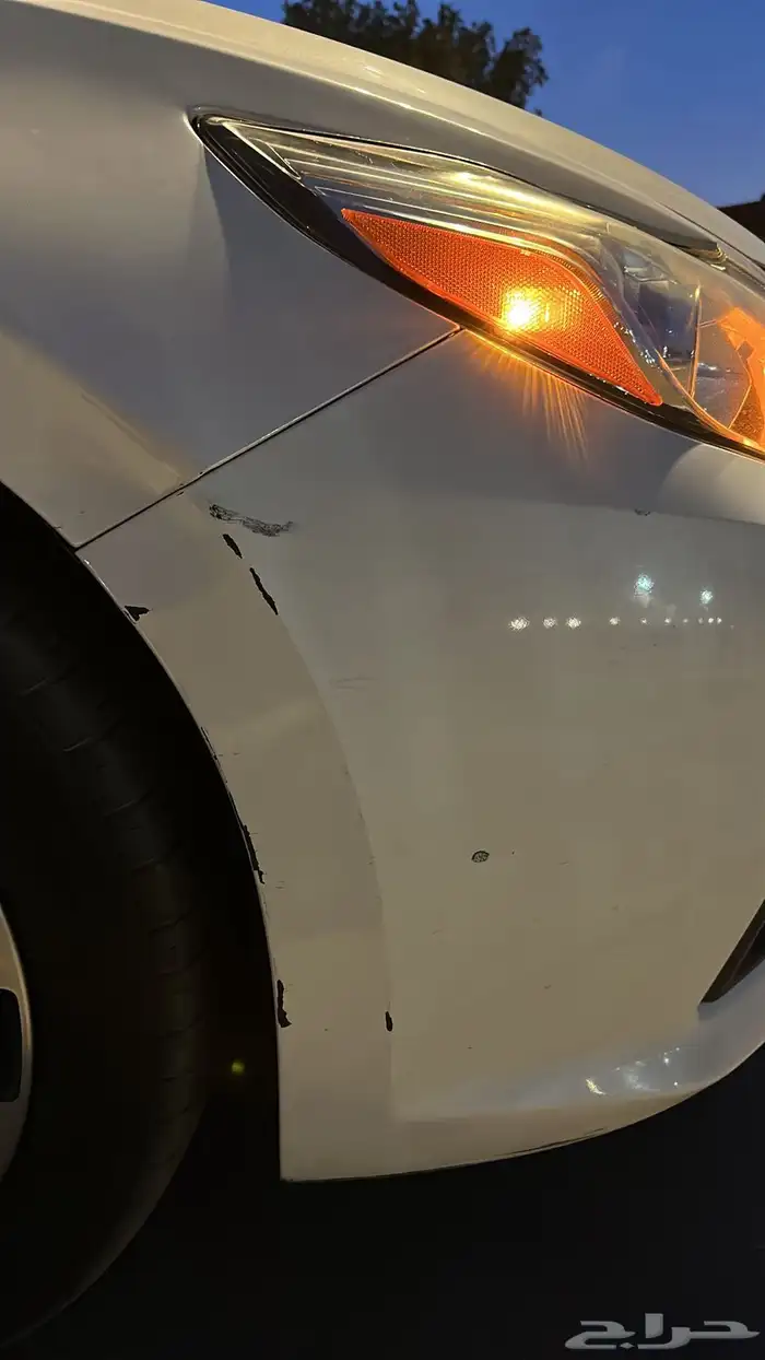 التيما 2018 38