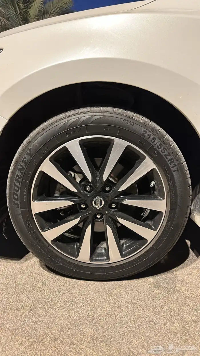 التيما 2018 17