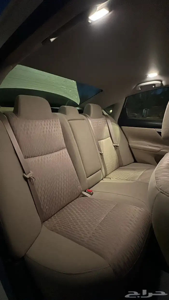 التيما 2018 26