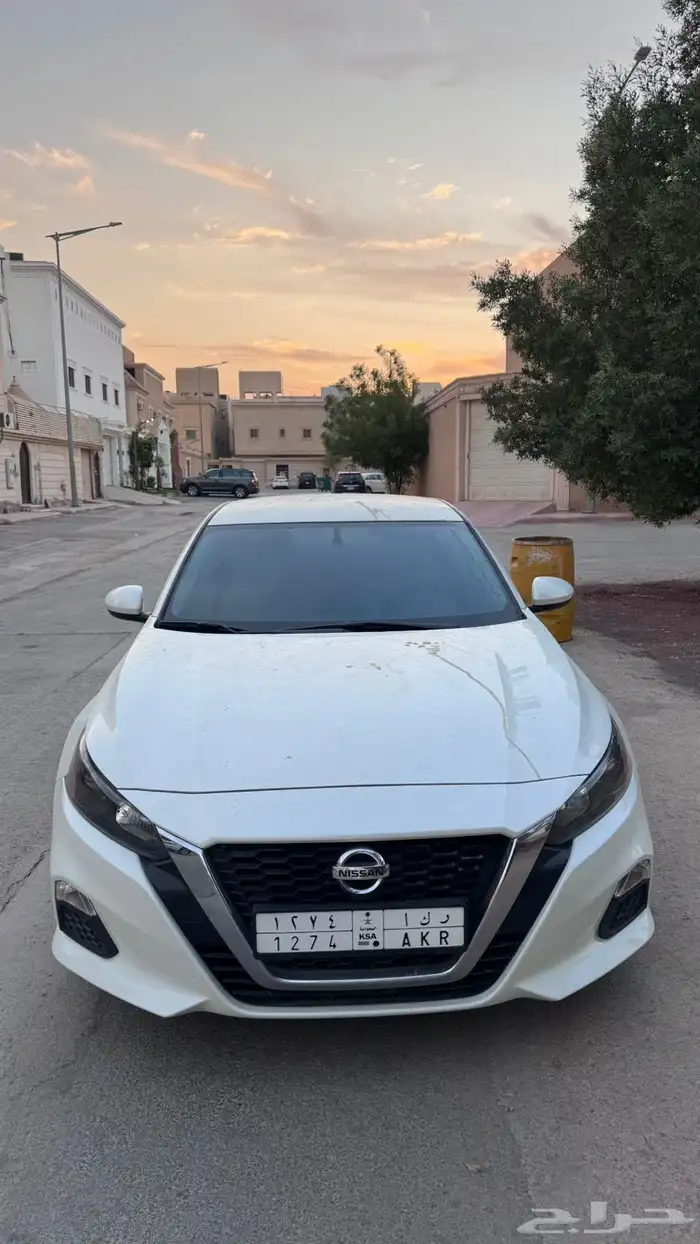 الرياض لبن 11