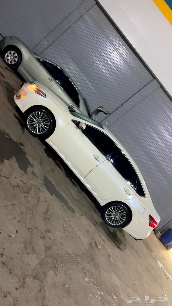 افلون مديل 2014 3