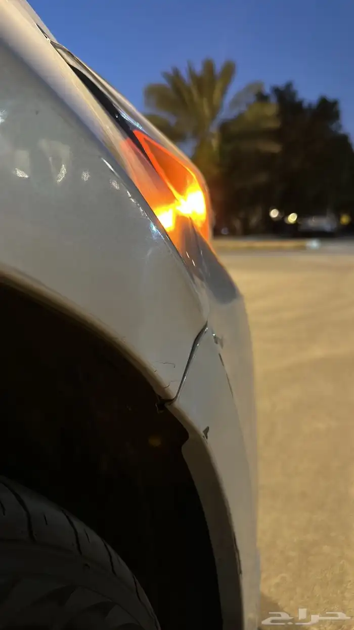 التيما 2018 40