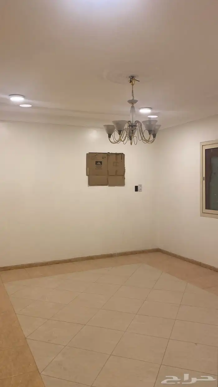 شقة دبلكس عزاب 0