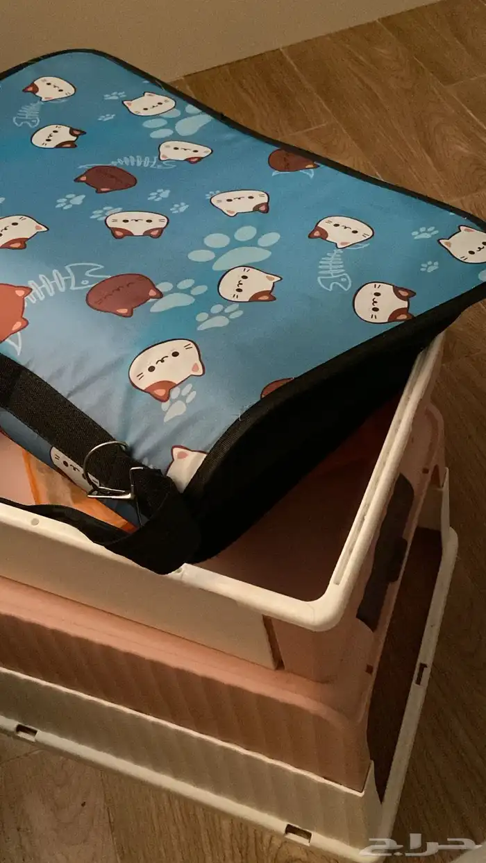 قطه للبيع أنثى نظيفه ومطعمه كل تطعيماتها مع اغراضها 3