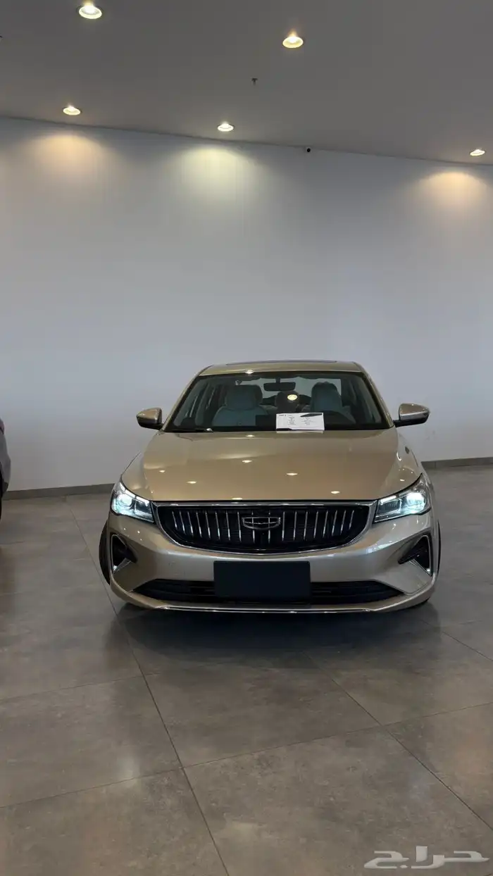 جيلي ايمجراند 0