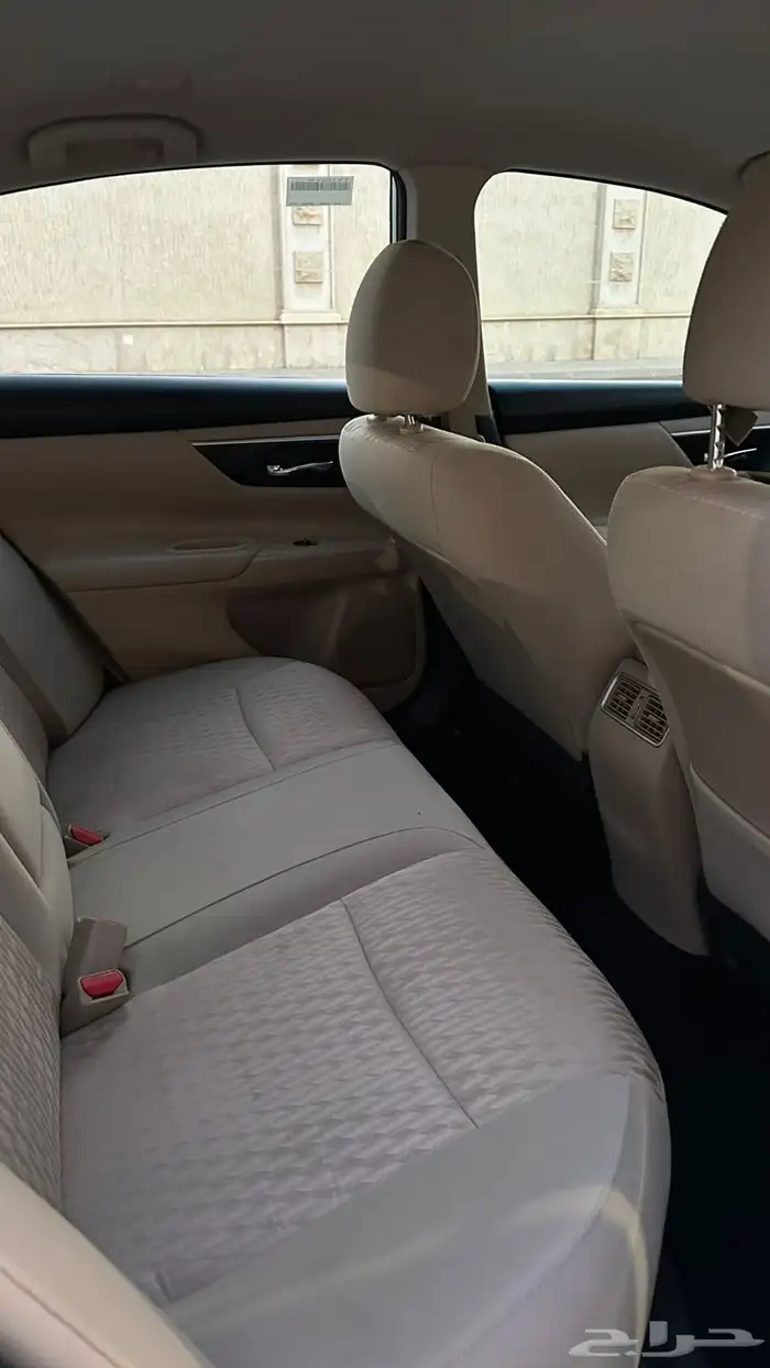 التيما 2017 13