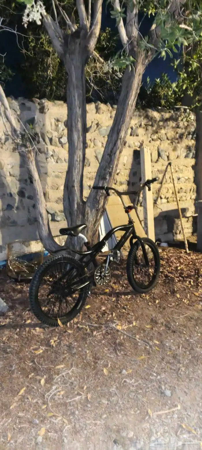 سيكل كوبرا مقاس 20 نسخه محدوده 2