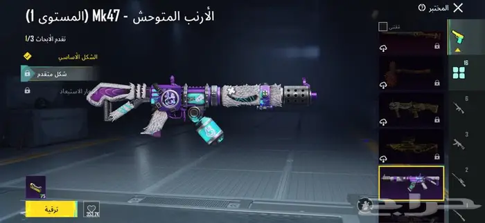 حساب ببجي 17