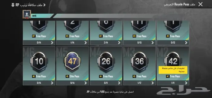 حساب ببجي 12