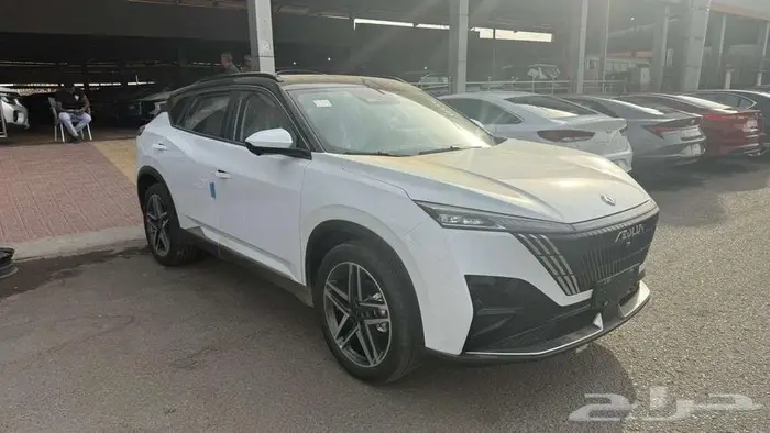 دونج فينج ميج فل كامل 2026 10