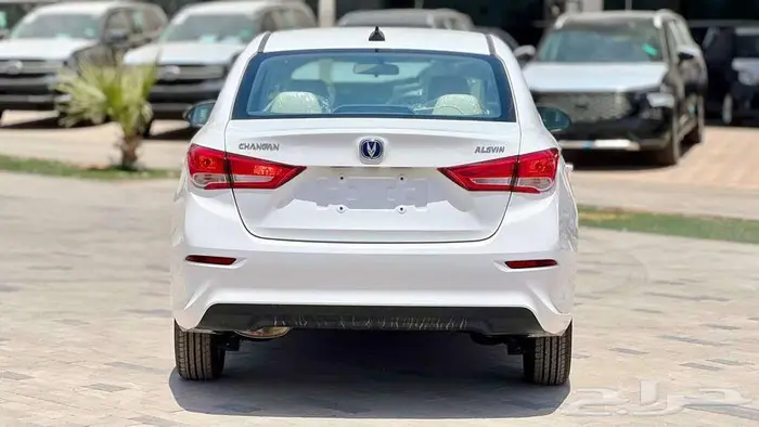 شانجان السفن ستاندر 2024 - عرض التحدي 5