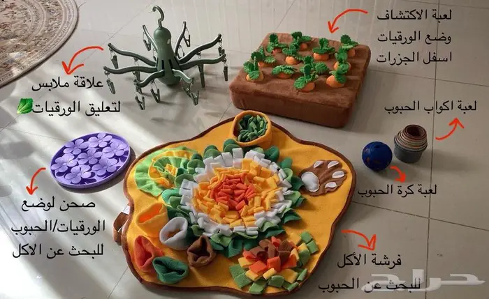 ارنب هولند لوب 1