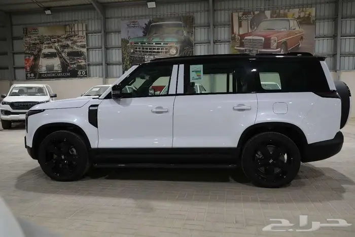 روكس ROX 01 2025 موديل 2025-VIP - مقاعد6 الخضر للسيارات 5