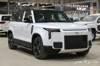 روكس ROX 01 2025 موديل 2025-VIP - مقاعد6 الخضر للسيارات index