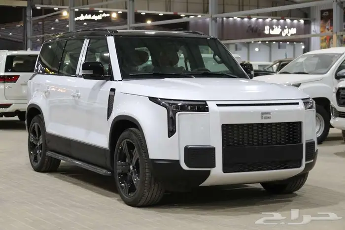 روكس ROX 01 2025 موديل 2025-VIP - مقاعد6 الخضر للسيارات 3