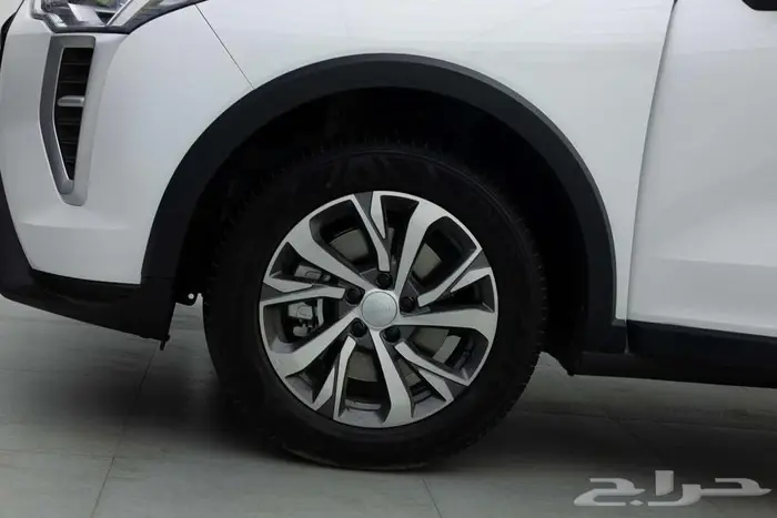 هافال جوليان بيسك 2026 قسطها بكل سهوله مع الدمعان 4