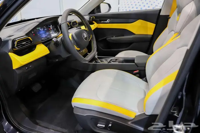 دونج فينج شاين E2 ستاندر 2026 الخرج قبل 3 أسابيع 6