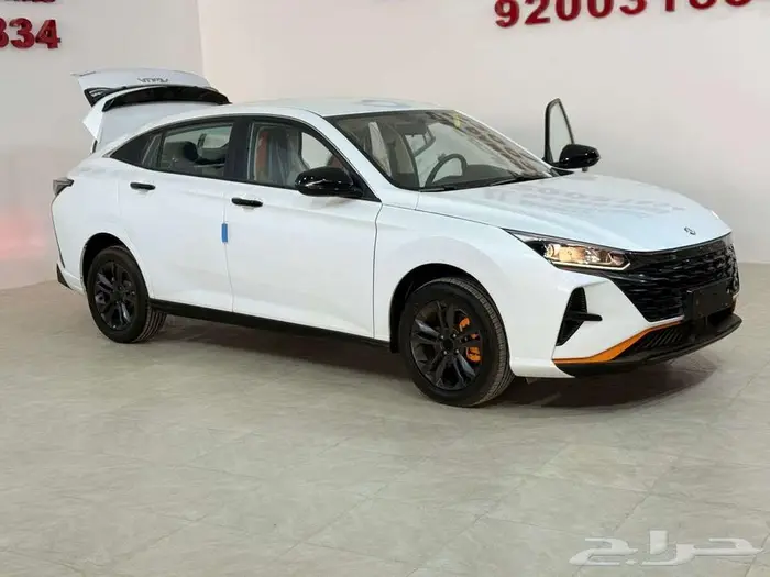 دونج فينج شاين اي 1 3