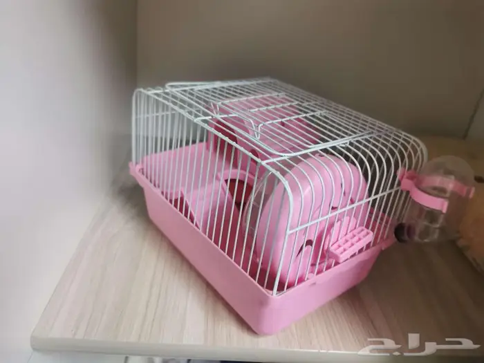 اقفاص همستر 1