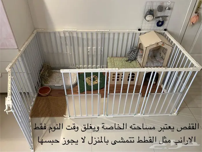 ارنب هولند لوب 2