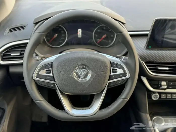 فوتون تونلاند بيك اب غمارتين ديزل موديل 2024 5