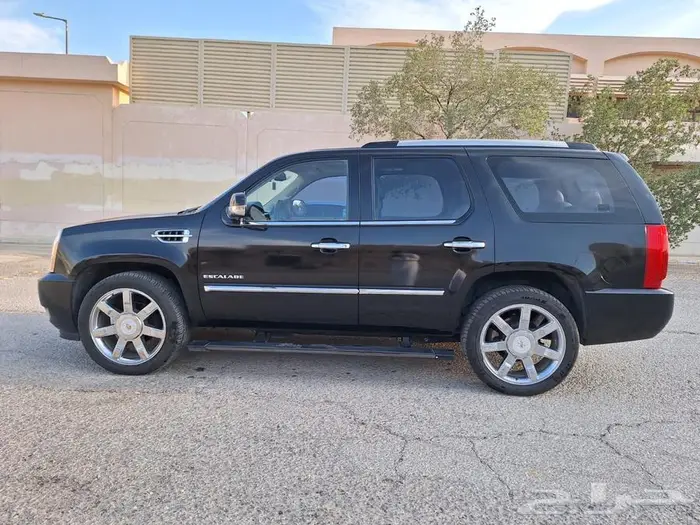 اسكاليد 2014 الجميح 2