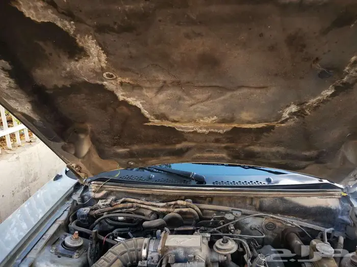 موستنج جي تي 2001 5