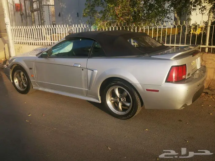 موستنج جي تي 2001 11