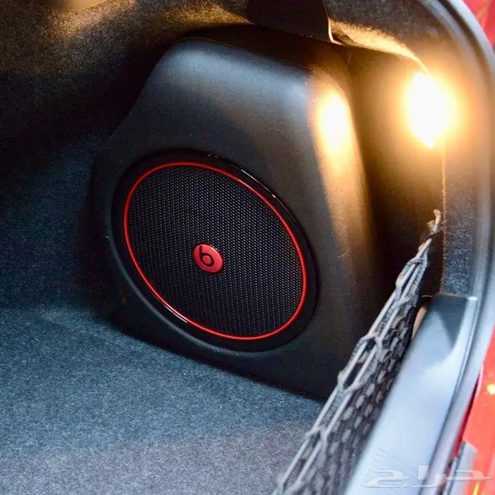 دودج تشارجر رالي لون مميز 2016 Dodge Charger Rally 8