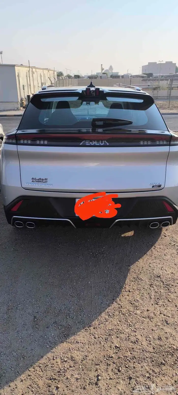 دونغ فانغ ميج 2025 7