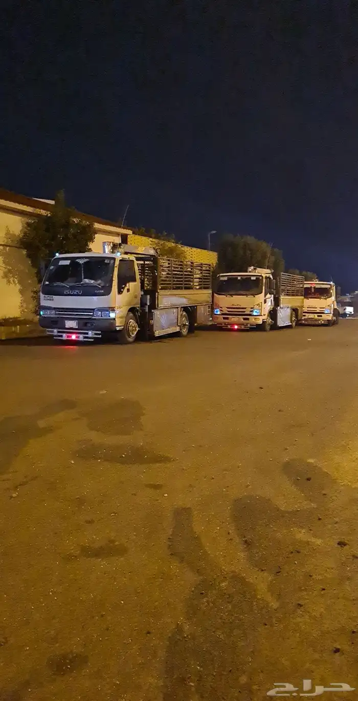 دنه دينا دينه ونش 0