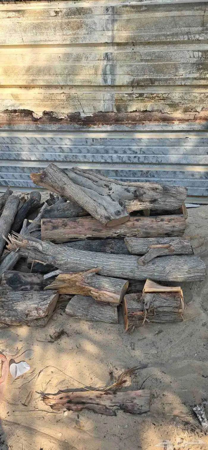 حطب امريكي 1