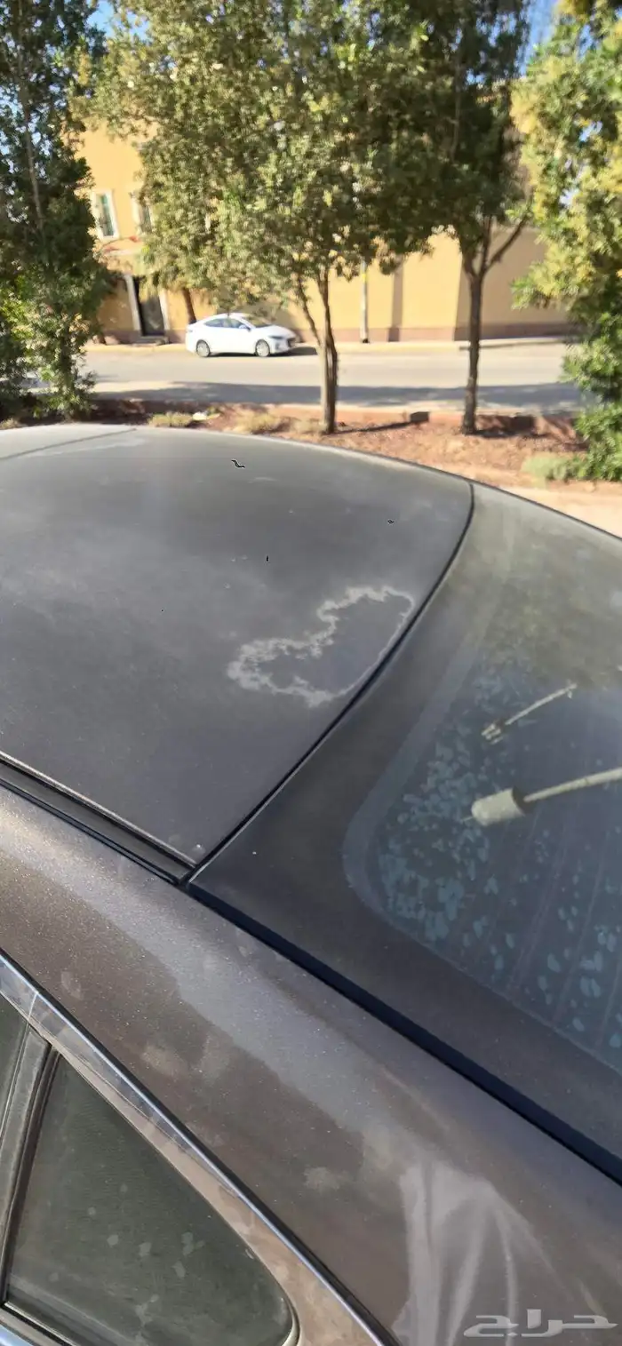 ماكسيما 2014 6