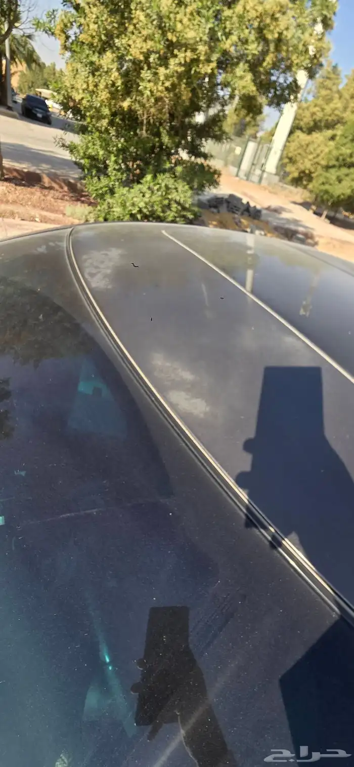 ماكسيما 2014 7