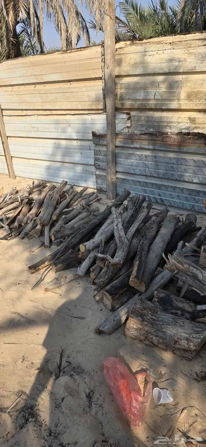 حطب امريكي 0