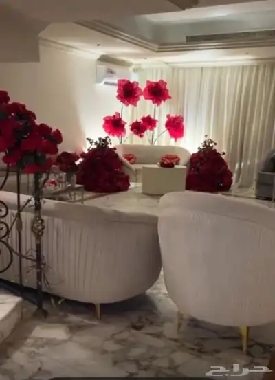 للايجار فيلا مؤثثة حي الشاطئ ويوجد غير مؤثثة index