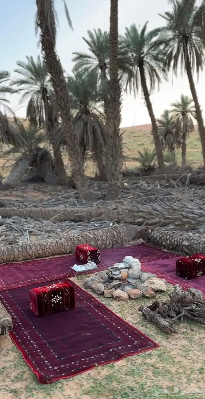 مدات سجادتي 1