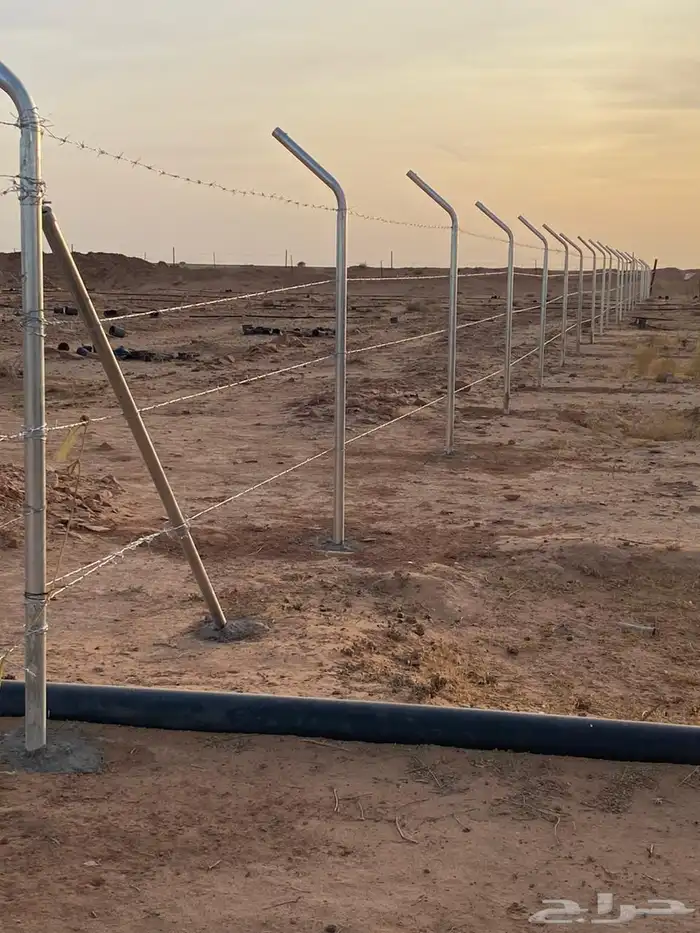 متوفر لدينا جميع انواع انخيل المثمرة وزينه وتنسيق الحدايق وت 8