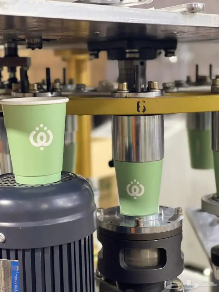 مصنع كوب باك للمنتجات الورقية والبلاستيكية 17