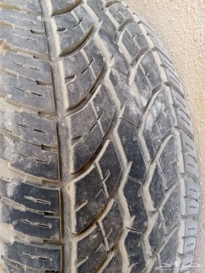 كفرات يوكوهاما 6