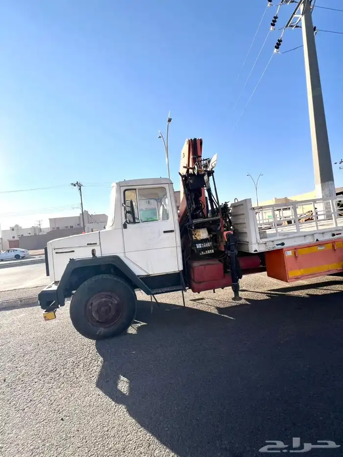 دينا لوري افلكو 8