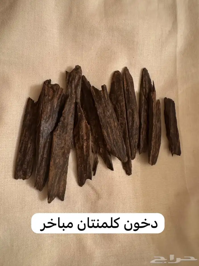 عود كلمنتان فيتنامي عالي الريسين 40 ريال 1