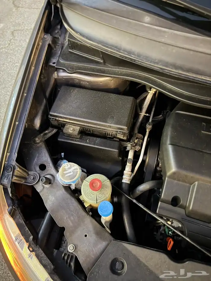 للبي هواند اوديسي 2013 16