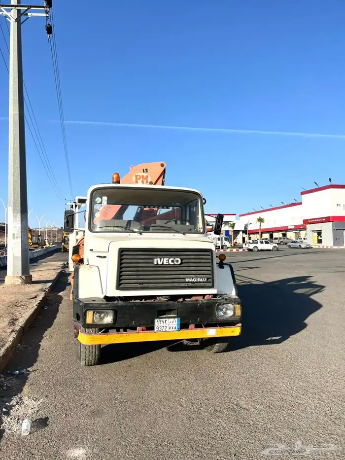 دينا لوري افلكو 1