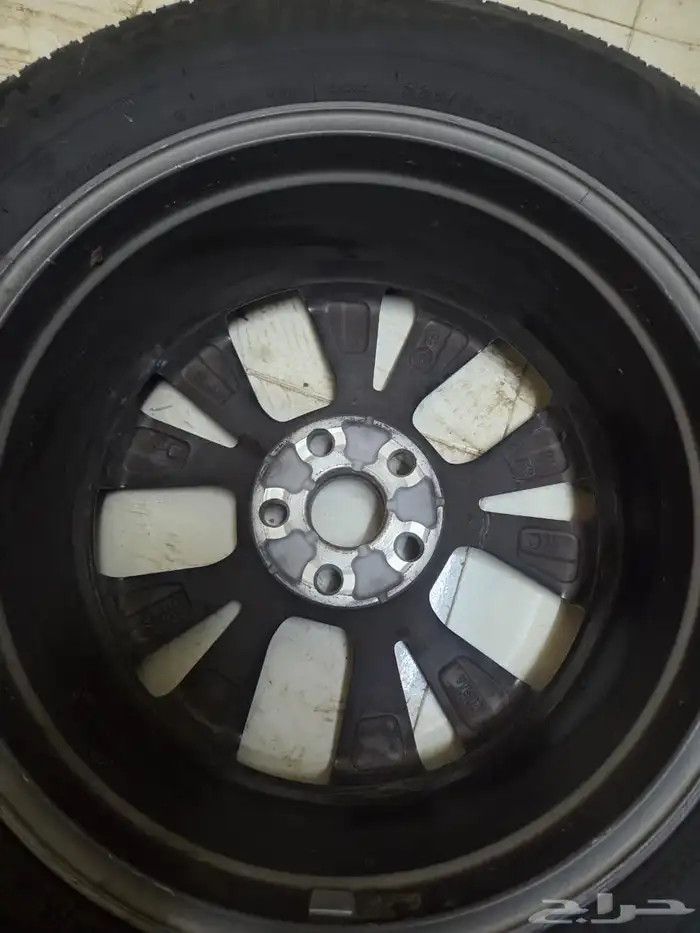 جلنط راففور 24 1