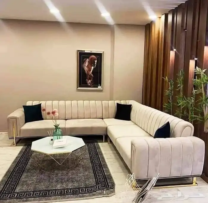 نقل عفش مع الفك والتركيب والتغليف بحفر الباطن لجميع الأثاث 1