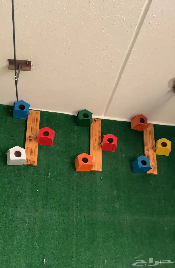 بياضات زيبرا ملونه 3