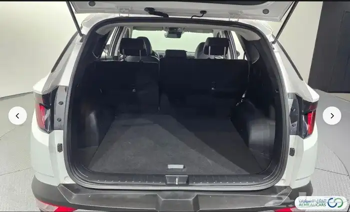 كود   S 207 هيونداي توسان تيربو 2021 17