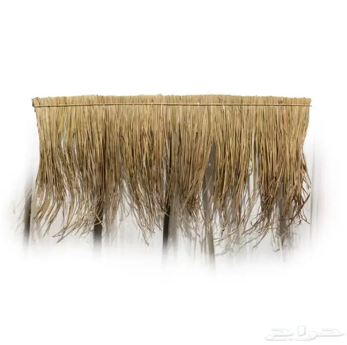 خيزران توريد 1